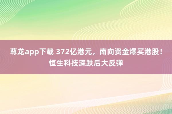 尊龙app下载 372亿港元，南向资金爆买港股！恒生科技深跌后大反弹