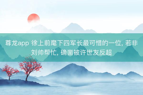 尊龙app 徐上前麾下四军长最可惜的一位, 若非刘帅帮忙, 确凿被许世友反超