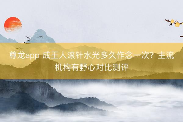 尊龙app 成王人滚针水光多久作念一次？主流机构有野心对比测评