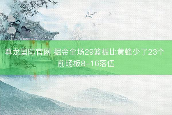 尊龙国际官网 掘金全场29篮板比黄蜂少了23个 前场板8-16落伍