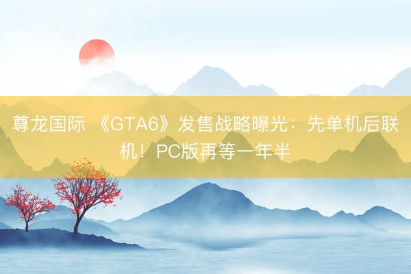 尊龙国际 《GTA6》发售战略曝光：先单机后联机！PC版再等一年半