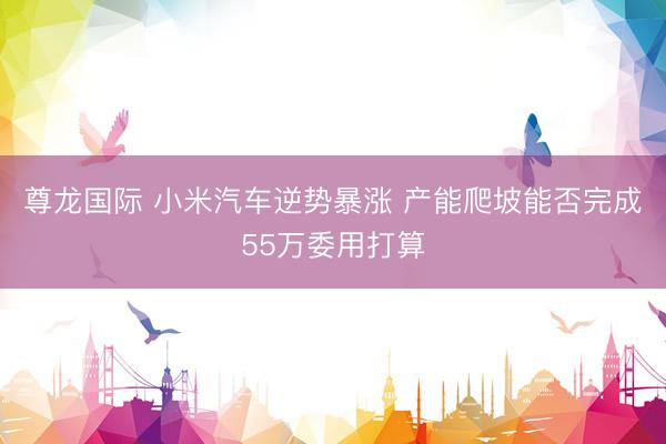 尊龙国际 小米汽车逆势暴涨 产能爬坡能否完成55万委用打算