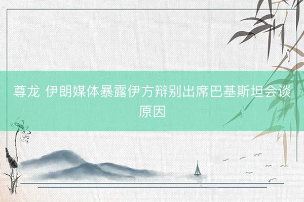 尊龙 伊朗媒体暴露伊方辩别出席巴基斯坦会谈原因