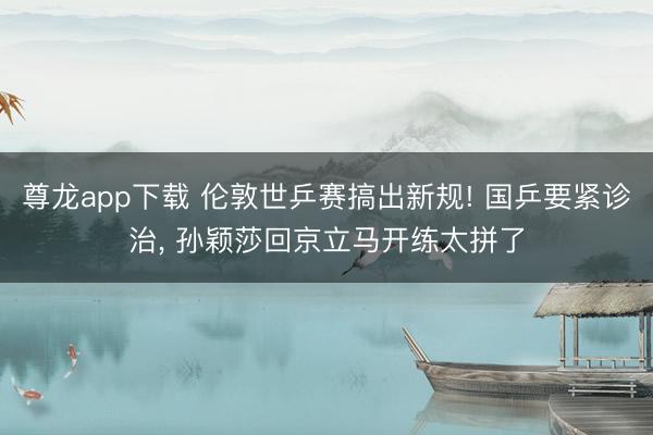 尊龙app下载 伦敦世乒赛搞出新规! 国乒要紧诊治, 孙颖莎回京立马开练太拼了