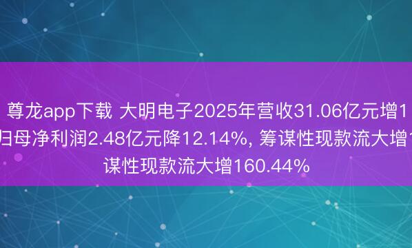 尊龙app下载 大明电子2025年营收31.06亿元增13.92%, 归母净利润2.48亿元降12.14%, 筹谋性现款流大增160.44%
