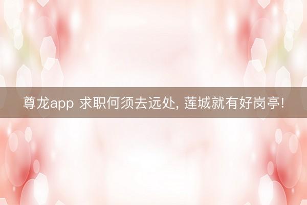 尊龙app 求职何须去远处, 莲城就有好岗亭!